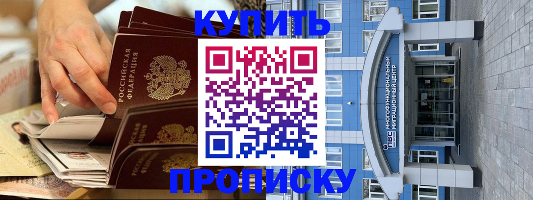 прописка гарантия в Балтийске